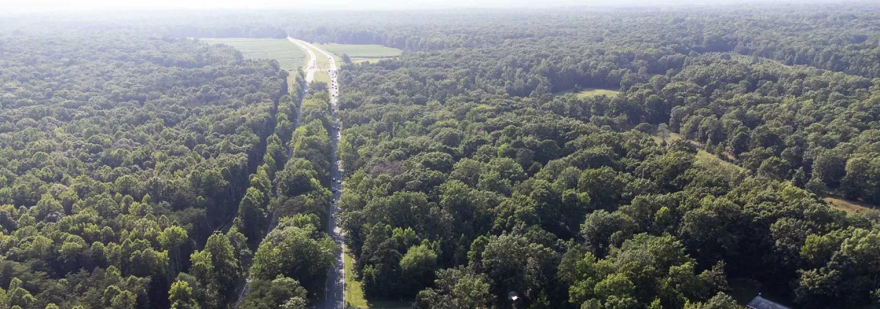 Chancellorsville Battlefield, Fredericksburg & Spotsylvania National Military Park, Va.
